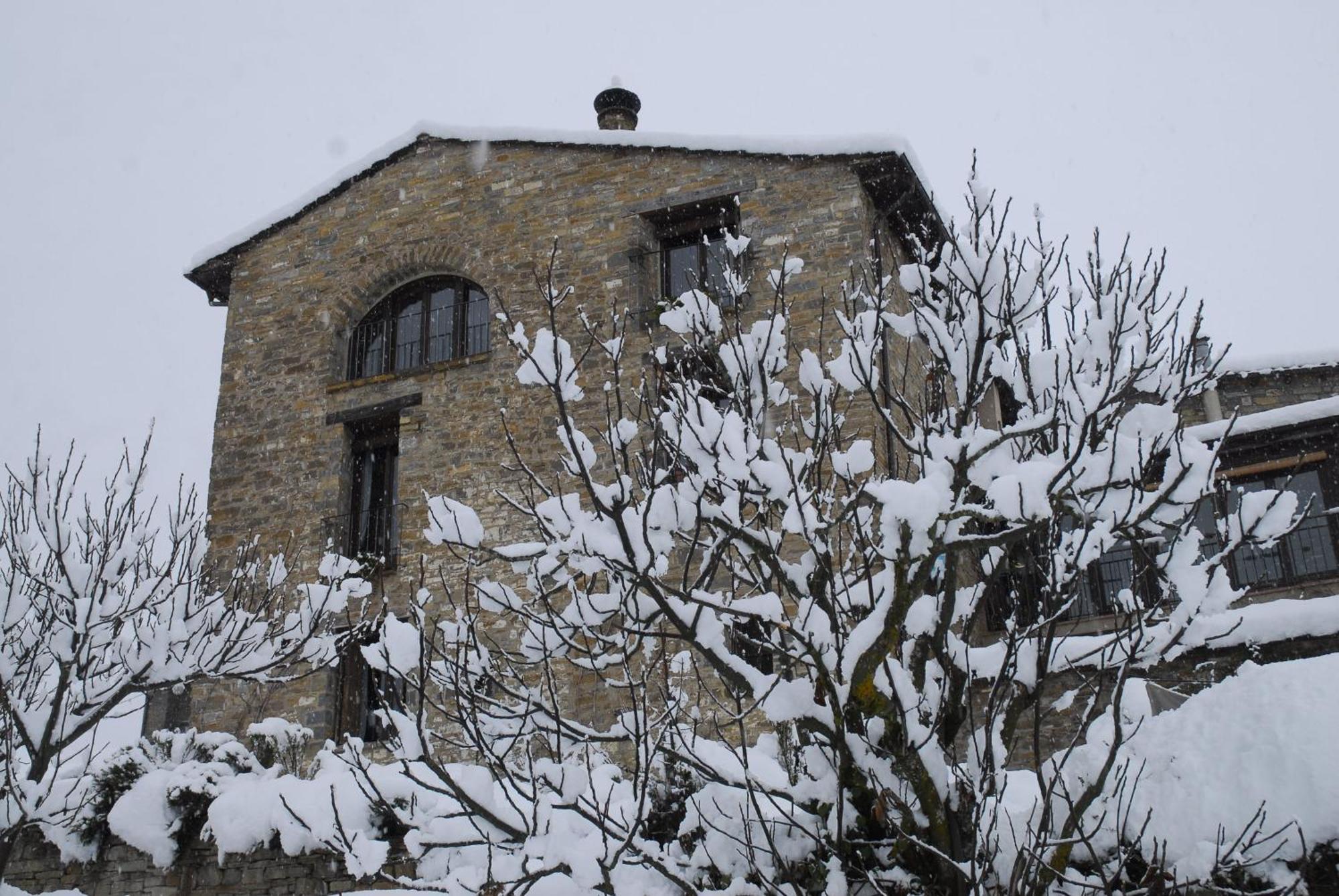 O Chardinet D'A Formiga Guest House Aínsa Eksteriør bilde